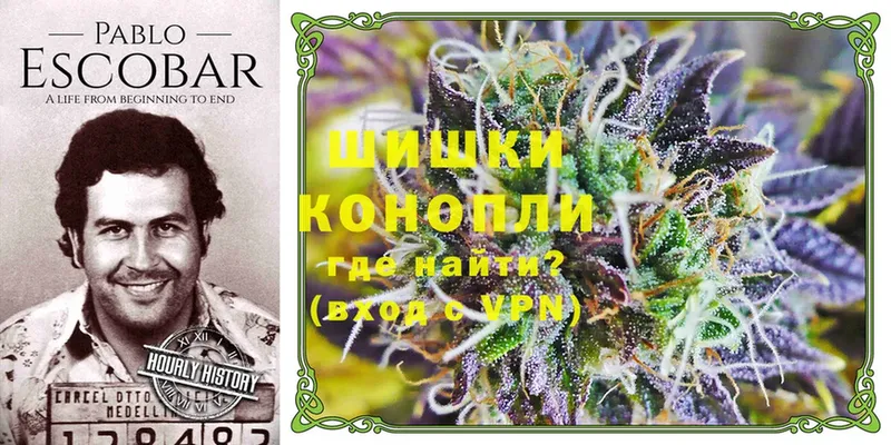 Шишки марихуана SATIVA & INDICA  магазин  наркотиков  Венёв 